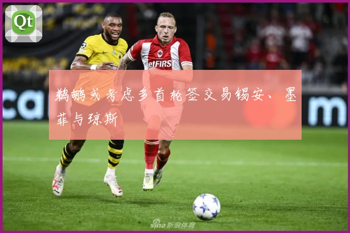 鹈鹕或考虑多首轮签交易锡安、墨菲与琼斯