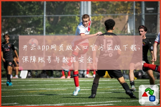 开云app网页版入口官方正版下载，保障账号与数据安全