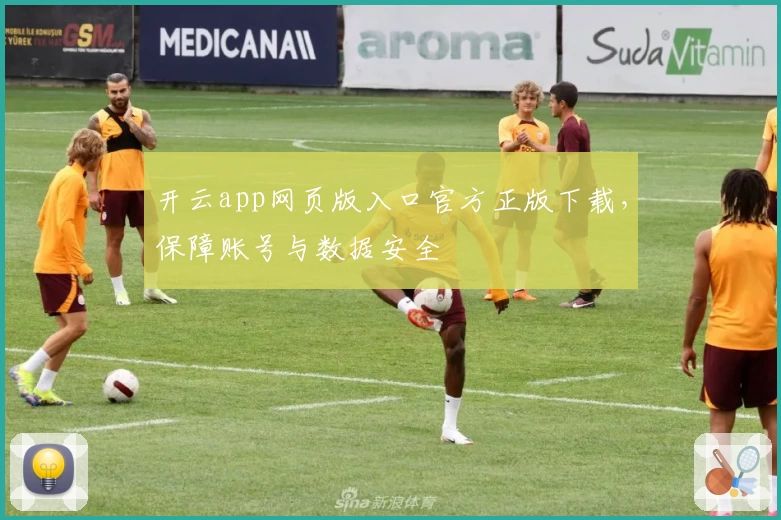 开云app网页版入口官方正版下载，保障账号与数据安全