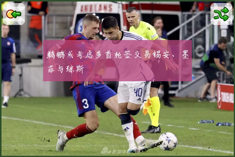 鹈鹕或考虑多首轮签交易锡安、墨菲与琼斯